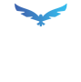 Falcon Fitness